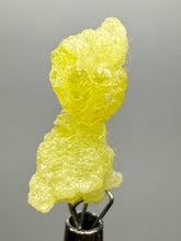 Load image into Gallery viewer, Vibrant Yellow Brucite Thumbnail Mineral Specimen | Collector Crystal from Killa Saifullah District in Balochistan Province, Pakistan
