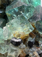 Load image into Gallery viewer, Rare Tenebrescent Color-Changing Cubic Fluorite | Hidden Forest Pocket — Diana Maria Mine, Frosterley, Weardale, County Durham, England
