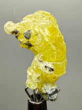 Load image into Gallery viewer, Vibrant Yellow Brucite Thumbnail Mineral Specimen | Collector Crystal from Killa Saifullah District in Balochistan Province, Pakistan
