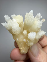 Load image into Gallery viewer, High-Grade Coral Aragonite Crystal Specimen – Wenshan Mine, Yunnan, China
