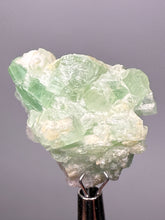 Load image into Gallery viewer, Mint Green Tourmaline 
And Pink Morganite on Matrix– Pegmatite Mineral Specimen from Pakistan
