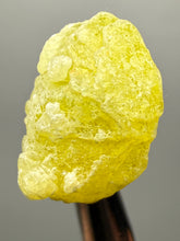 Load image into Gallery viewer, Vibrant Yellow Brucite Thumbnail Mineral Specimen | Collector Crystal from Killa Saifullah District in Balochistan Province, Pakistan
