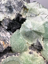 Load image into Gallery viewer, High-Grade Green Wavellite Collectors Specimen - Radiating Botryoidal Crystal Formation - Arkansas, USA
