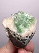 Load image into Gallery viewer, Green Radial “Disco Ball” Apophyllite | Maharashtra, India
