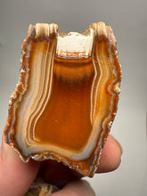 Load image into Gallery viewer, High-Grade Indonesian Sumatra Agate Pair – Vibrant Banded Chalcedony with Rich Color Zoning | Ethical Lapidary &amp; Collector Display Specimens
