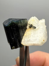 Load image into Gallery viewer, Blue Cap Dark Green Stak Nala Tourmaline and Cleavelandite – Haramosh Mountains, Pakistan | Thumbnail Specimen
