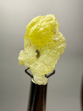 Load image into Gallery viewer, Vibrant Yellow Brucite Thumbnail Mineral Specimen | Collector Crystal from Killa Saifullah District in Balochistan Province, Pakistan
