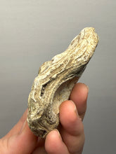 Load image into Gallery viewer, Premium Sumatra Agate Pair (Banded Chalcedony) Display Specimen | Indonesia
