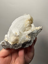 Load image into Gallery viewer, RARE COMBO Moroccan Ram’s Horn Selenite (Gypsum) with Yellow Botryoidal Fluorite Display Specimen
