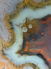 Load image into Gallery viewer, Museum Grade Turkish Agate Pair • Turkey • POLISHED
