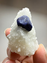 Load image into Gallery viewer, Afghan Lazurite Specimen | Deep Blue Lapis-Grade Crystal on Matrix | Collector Display Mineral
