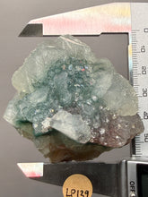 Load image into Gallery viewer, Druzy Green Apophyllite on Red &amp; Green Heulandite – Deccan Traps, Maharashtra, India
