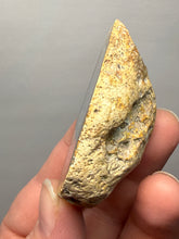 Load image into Gallery viewer, Premium Sumatra Agate (Banded Chalcedony) Display Specimen | Indonesia
