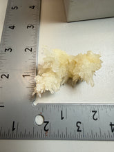 Load image into Gallery viewer, High-Grade Coral Aragonite Crystal Specimen – Wenshan Mine, Yunnan, China
