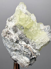 Load image into Gallery viewer, Vibrant Yellow Brucite Thumbnail Mineral Specimen | Collector Crystal from Killa Saifullah District in Balochistan Province, Pakistan
