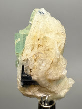 Load image into Gallery viewer, Blue Indicolite &amp; Mint Green Tourmaline on Matrix – Pegmatite Mineral Specimen from Pakistan
