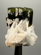 Load image into Gallery viewer, Dark Green Cap Stak Nala Tourmaline with Cleavelandite Flower – Haramosh Mountains, Pakistan | Thumbnail Specimen

