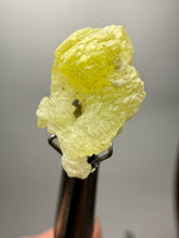 Load image into Gallery viewer, Vibrant Yellow Brucite Thumbnail Mineral Specimen | Collector Crystal from Killa Saifullah District in Balochistan Province, Pakistan
