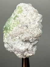 Load image into Gallery viewer, Purple Lepidolite with Light Green Tourmaline on Matrix – Pakistan Mineral Specimen | Collector Grade
