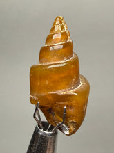 Load image into Gallery viewer, Agatized Gastropod Fossil Specimen | Morocco
