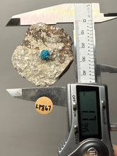 Load image into Gallery viewer, Rare Electric Blue Cavansite on Druzy Matrix – Collector Mineral Specimen | India
