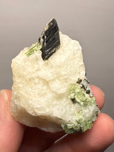 Load image into Gallery viewer, Electric Green Diopside on Quartz – Collector Mineral Specimen (Gilgit-Baltistan) Pakistan
