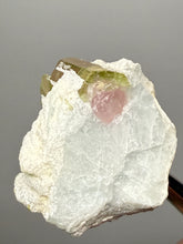 Load image into Gallery viewer, Watermelon Tourmaline on Matrix – Collector Mineral Specimen from Pakistan
