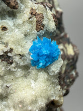 Load image into Gallery viewer, Rare Electric Blue Pentagonite on Druzy Matrix – Collector Mineral Specimen | India
