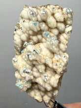 Load image into Gallery viewer, Blue-Green Chrysocolla in Botryoidal Chalcedony Cabinet Specimen | Indonesia
