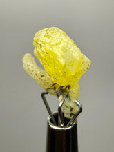 Load image into Gallery viewer, Vibrant Yellow Brucite Thumbnail Mineral Specimen | Collector Crystal from Killa Saifullah District in Balochistan Province, Pakistan
