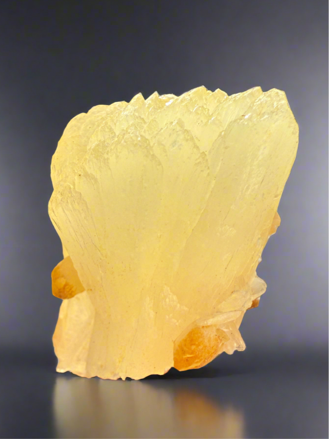 Golden Yellow Stilbite + Golden Calcite • Maharashtra, India