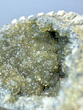 Load image into Gallery viewer, Bivalve (Pelecypoda) Fossil Sea Shell with Calcite Crystals and Chalcopyrite | Mineralized Fossil Specimen | Indonesia
