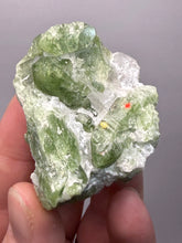 Load image into Gallery viewer, Electric Green Diopside on Quartz – Collector Mineral Specimen (Gilgit-Baltistan) Pakistan
