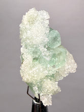 Load image into Gallery viewer, Luminous Mint Apophyllite with Glittering Druzy Sugar Quartz – India
