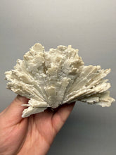 Load image into Gallery viewer, Rare Natural Anhydrite Collector Mineral Specimen | Brazil
