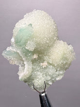 Load image into Gallery viewer, Luminous Mint Apophyllite with Glittering Druzy Sugar Quartz – India
