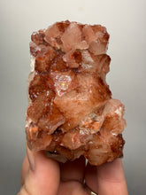 Load image into Gallery viewer, Rare Red Apophyllite Crystal Cluster – High Grade Collector Mineral Specimen | India
