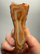 Load image into Gallery viewer, High-Grade Indonesian Sumatra Agate Pair – Vibrant Banded Chalcedony with Rich Color Zoning | Ethical Lapidary &amp; Collector Display Specimens
