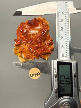 Load image into Gallery viewer, Natural Vanadinite on Matrix | Collector Mineral Specimen | Morocco
