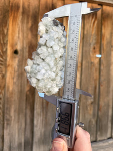 Clear Gem Apophyllite Cluster • Maharashtra, India