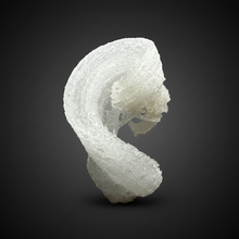 Load image into Gallery viewer, RARE COMBO Moroccan Ram’s Horn Selenite (Gypsum) with Purple Fluorite Display Specimen
