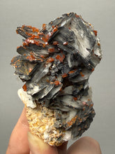 Load image into Gallery viewer, Natural Vanadinite on Matrix | Collector Mineral Specimen | Morocco
