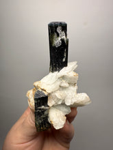 Load image into Gallery viewer, Blue Cap Dark Green Stak Nala Tourmaline on Cleavelandite Matrix – Haramosh Mountains, Pakistan
