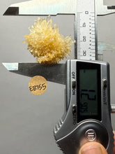 Load image into Gallery viewer, High-Grade Flower Calcite Crystal Specimen | Wenshan Mine, Yunnan, China | Collector Mineral Display
