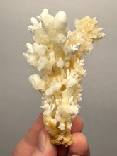 Load image into Gallery viewer, 3.7” High-Grade Flower Calcite Specimen | Wenshan Mine, Yunnan, China | Collector Mineral Display
