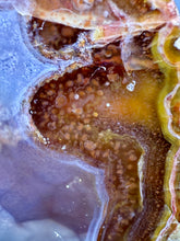 Load image into Gallery viewer, High-Grade Turkish Agate with Botryoidal Chalcedony Vug – Rare Collector’s Gem
