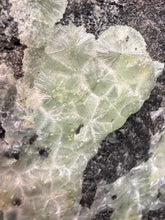 Load image into Gallery viewer, High-Grade Green Wavellite Collectors Specimen - Radiating Botryoidal Crystal Formation - Arkansas, USA
