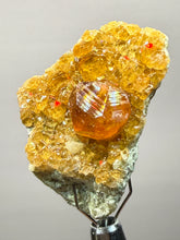 Load image into Gallery viewer, Hessonite Garnet Cluster on Matrix – Natural Collector Specimen from Pakistan | High-Grade Orange-Red Garnet Crystals
