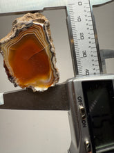 Load image into Gallery viewer, Indonesian Sumatra Agate Pair – Vibrant Banded Chalcedony with Rich Color Zoning | Ethical Lapidary &amp; Collector Display Specimens
