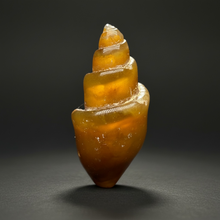 Load image into Gallery viewer, Agatized Gastropod Fossil Specimen | Morocco
